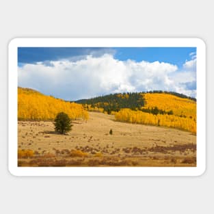 Kenosha Pass Study 7 Sticker